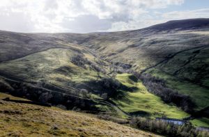 Swaledale 2 sm.jpg